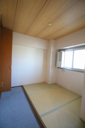 ���r���O�ȊO�̋����@-